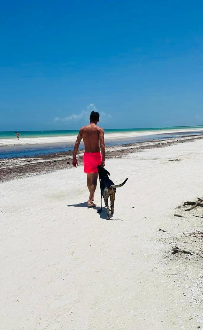 Pachamama Holbox - Hostel & Private Apartments 外观 照片