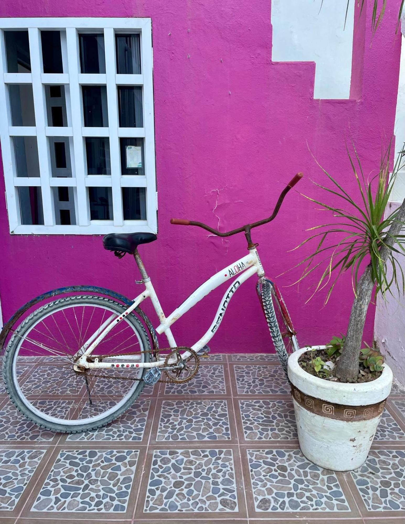 Pachamama Holbox - Hostel & Private Apartments 外观 照片