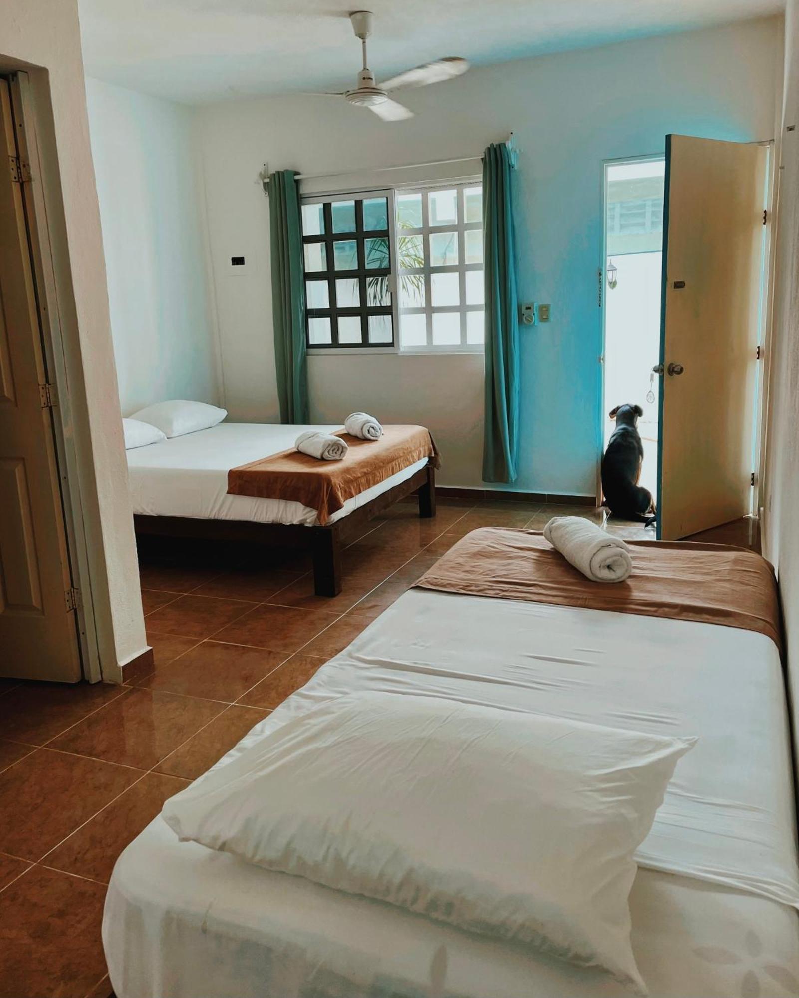 Pachamama Holbox - Hostel & Private Apartments 外观 照片